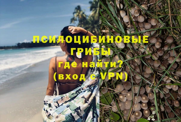 мет Лагань