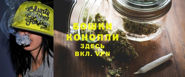 мет Лагань