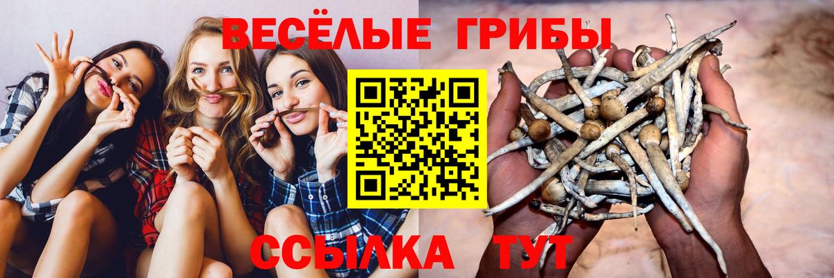 Галлюциногенные грибы ЛСД  Вход с VPN  Малоярославец 